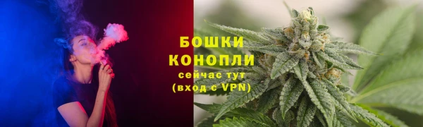 дживик Аркадак
