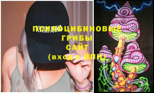 дживик Аркадак