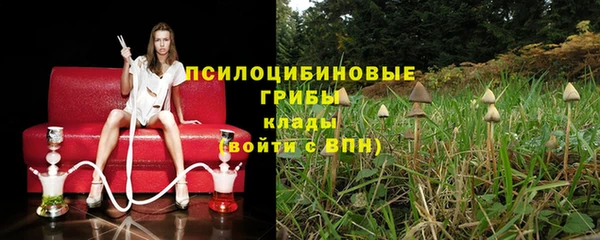 дживик Аркадак
