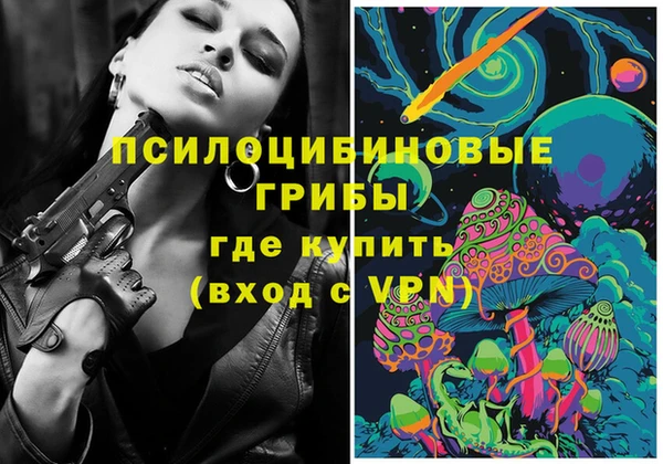 apvp Армянск