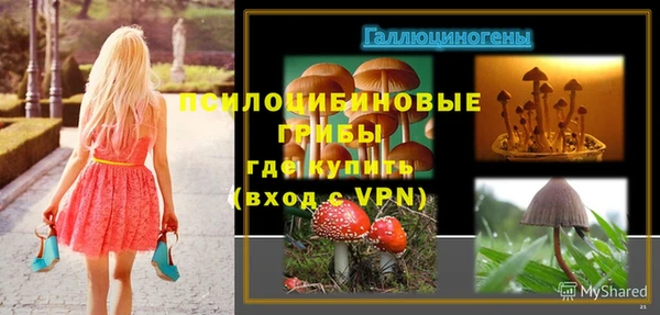 apvp Армянск