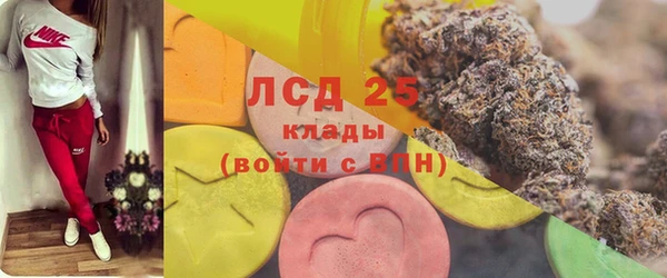 дживик Аркадак