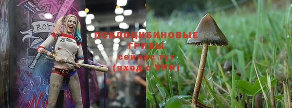 дживик Аркадак