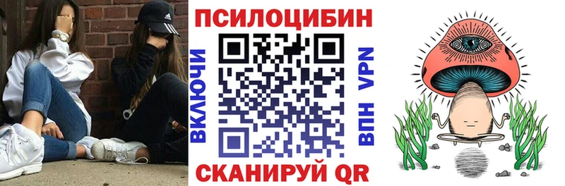 Купить закладки  Грайворон  Галлюциногенные грибы Psilocybe 